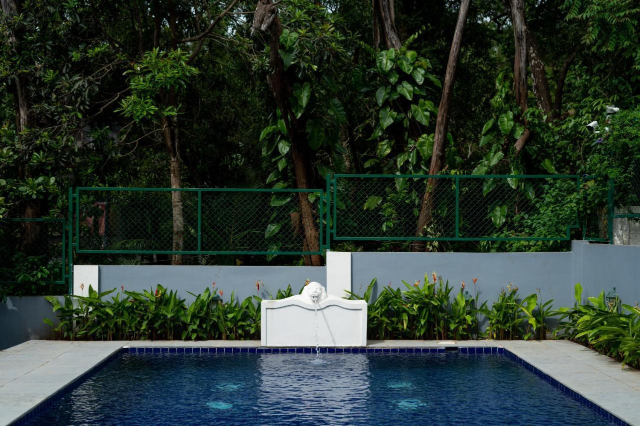 Elivaas 5 Bhk With Pvt Pool, Entertainment Room & Glass House - Bludoor Marmagao المظهر الخارجي الصورة